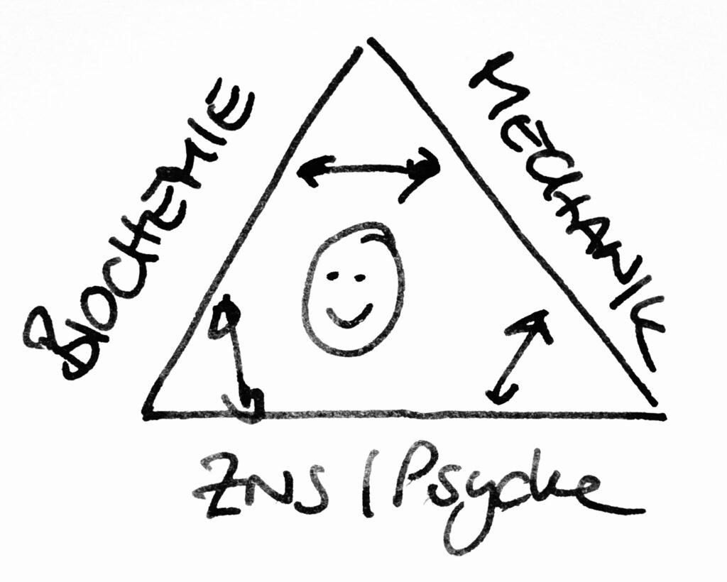 Skizze der Triad of Health – funktionelle Medizin mit den drei Säulen Biochemie, Mechanik und Psyche/ZNS, wie sie in der Privatpraxis am Englischen Garten München bei Dr. Stephanie Joerges angewendet wird. Geprägt durch die Lehre von Dr. Hans Garten und Wolfgang Gerz.