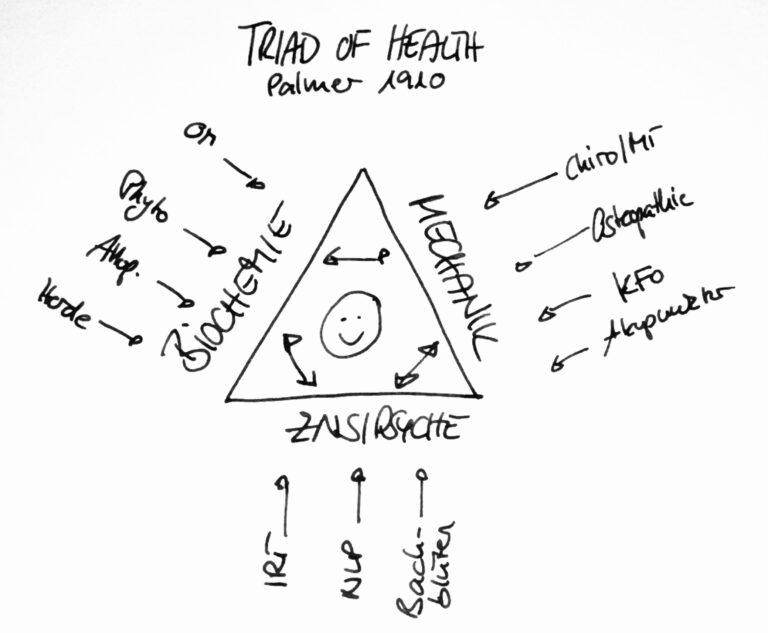 Handgezeichnete Skizze von Dr. Stephanie Joerges zur Triad of Health – funktionelle Medizin mit Therapieformen wie Phytotherapie, Akupunktur, Osteopathie, Injury-Recall-Therapie, Orthomolekulare Medizin und ganzheitlicher Kieferorthopädie. Anwendung in der Privatpraxis am Englischen Garten München, inspiriert durch Dr. Hans Garten und Wolfgang Gerz.