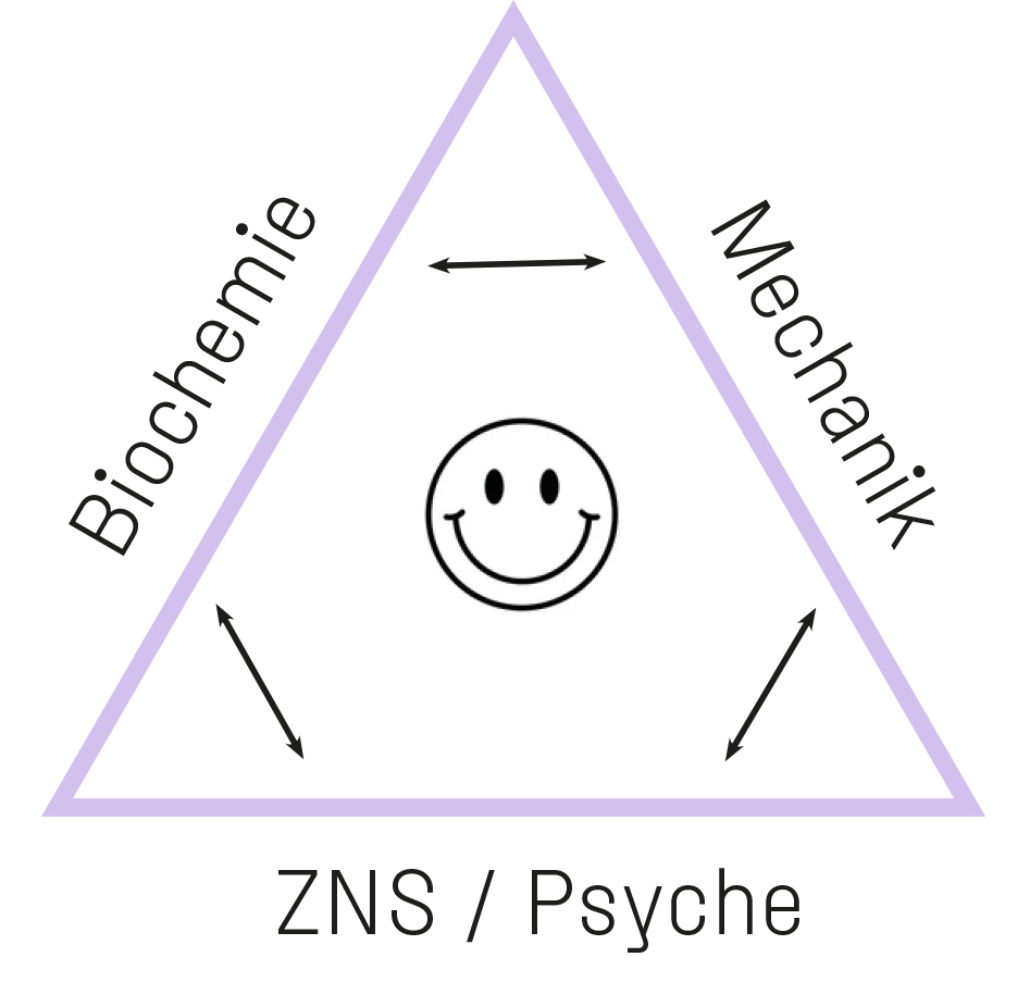 Triad of Health – funktionelle Medizin mit den drei Säulen Biochemie, Mechanik und Psyche/ZNS, wie sie in der Privatpraxis für ganzheitliche Medizin München bei Dr. Stephanie Joerges angewendet wird.